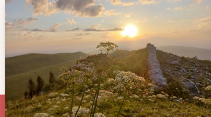 Natur und Weite